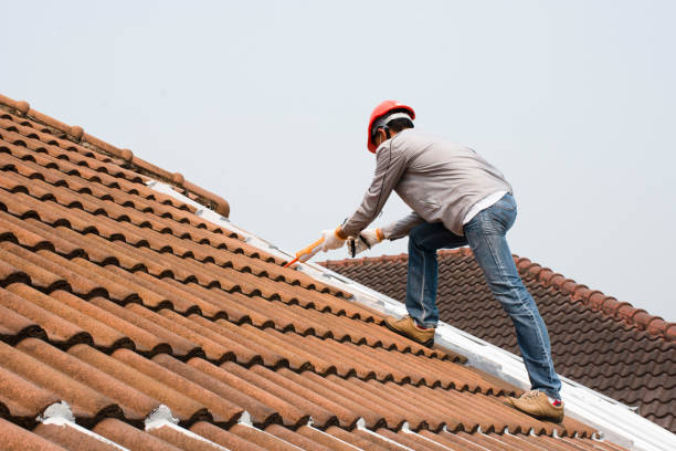 Steel Roofing in Lone Tree, CO