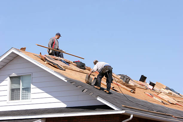 Best Storm Damage Roof Repair  in Lone Tree, CO
